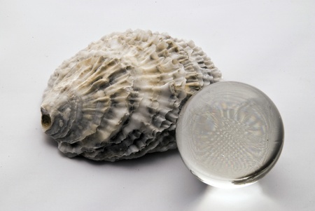 Crystal Ballの写真素材