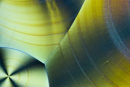 Microcrystals of Ascorbic Acid