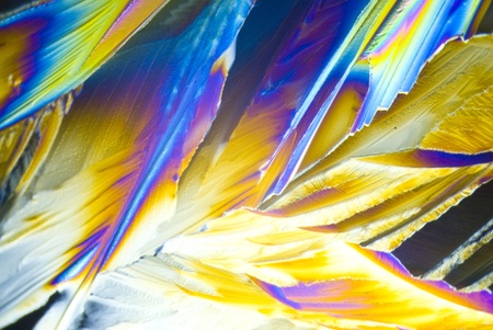 Microcrystals of Citric Acid