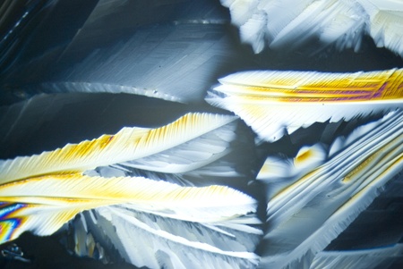Microcrystals of Citric Acidの写真素材