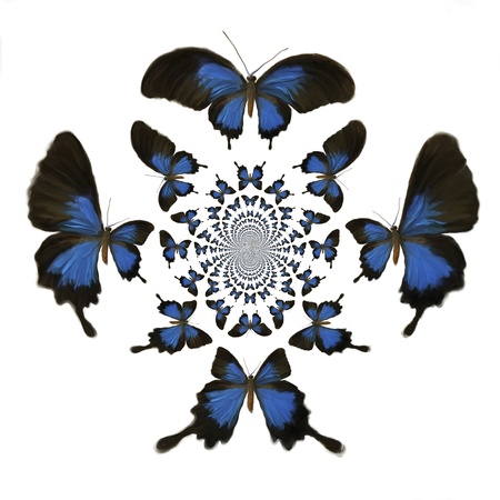 Kaleidoscopic Butterflies Illustrationの写真素材