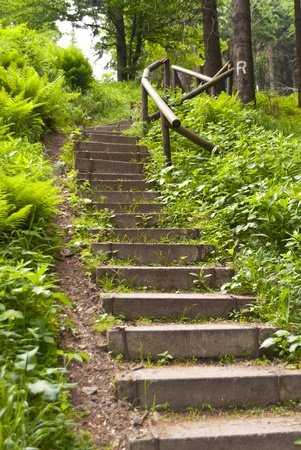 On the Hiking Trail Rennsteig in Germanyの写真素材