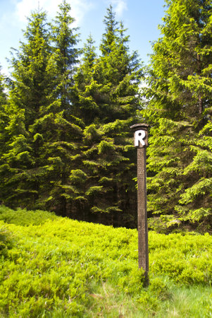 On the Hiking Trail Rennsteig in Germanyのeditorial素材