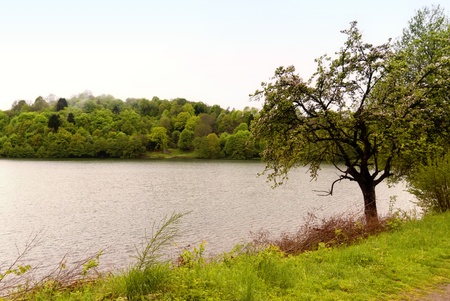 On the Hiking Trail Eifelsteig in the Eifel, Germanyの写真素材