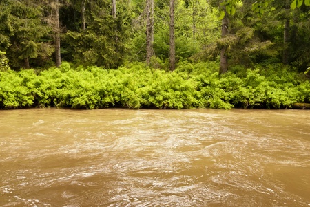 On the Hiking Trail Eifelsteig in the Eifel, Germanyの写真素材