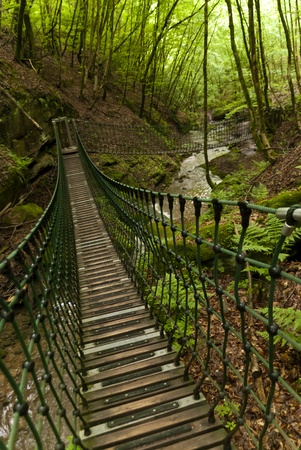 On the Hiking Trail Eifelsteig in the Eifel, Germanyの写真素材