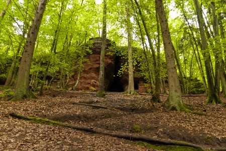 On the Hiking Trail Eifelsteig in the Eifel, Germanyの写真素材
