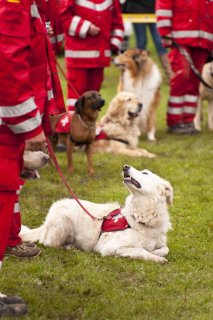 Rescue Dog Squadron in Germanyのeditorial素材