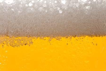 Detail of a Beer Glassの写真素材