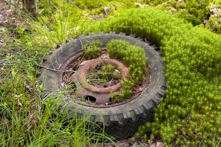 Car Dump in Kirkoe Mosse, Swedenの写真素材