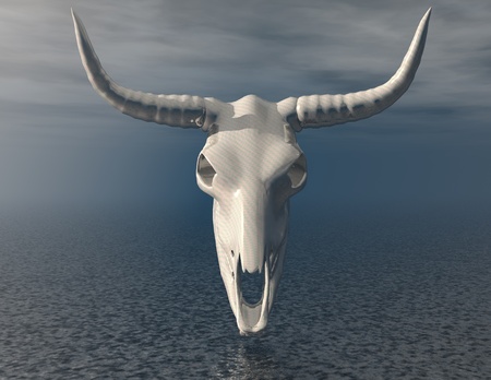 digital visualization of a skullの写真素材