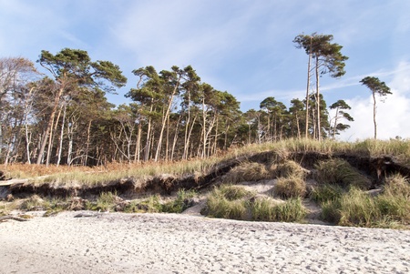 Baltic Sea Beach in Ahrenshoop, Germanyの写真素材