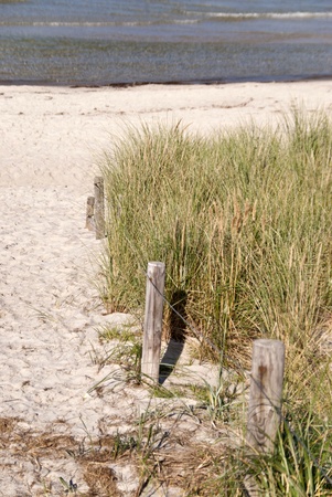 Landscape with Dunes in Germanyの写真素材