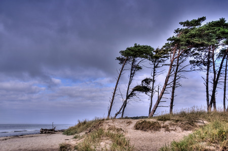 Coastal Landscape of the Baltic Sea of Darss in Germany, HDRの写真素材