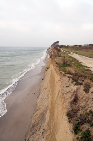 Cliffline of Ahrenshoop on Darss in Germanyの写真素材