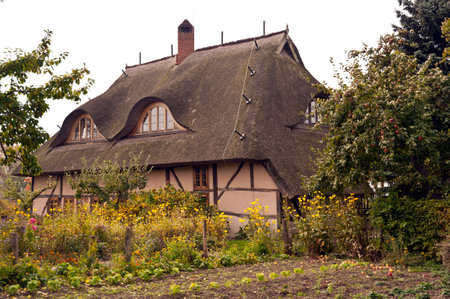 House in Fischland in Germanyのeditorial素材