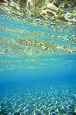 Underwater Scene in the Aegean Seaの写真素材