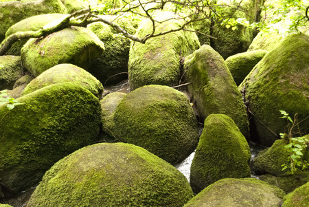 Nature Reserve Doost in Upper Palatinate in Germanyの写真素材