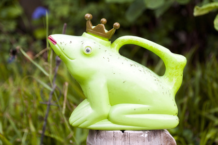 Detail of a Frog King Toyの写真素材