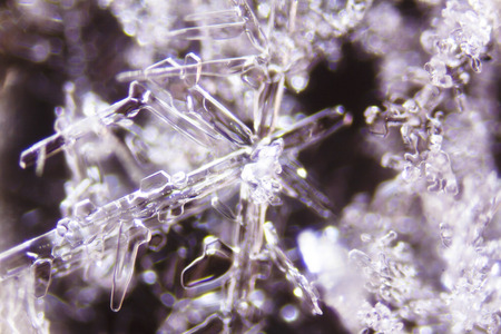 Micro Photo of Snow Crystalsの写真素材