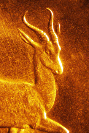 Micro Photo of a Gold Coinの写真素材