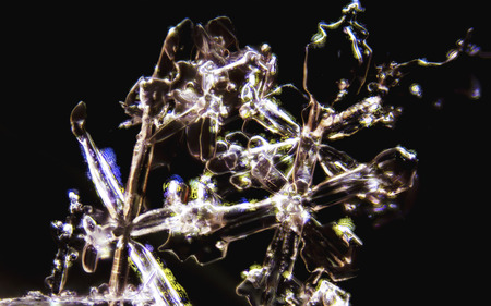 Micro Photo of Snow Crystalsの写真素材