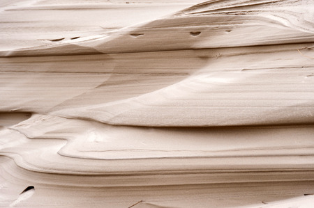 Dunes on the North Frisian Island Amrum in Germany