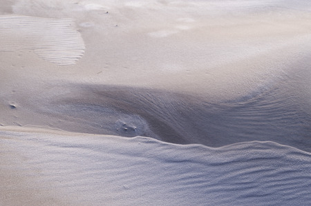 Dunes on the North Frisian Island Amrum in Germany