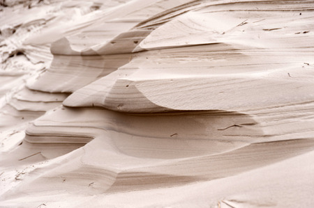 Dunes on the North Frisian Island Amrum in Germanyの写真素材
