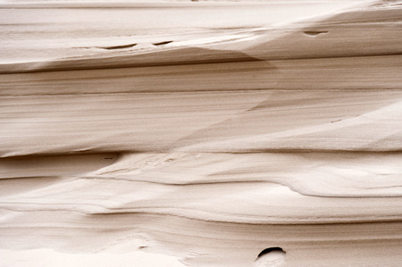 Dunes on the North Frisian Island Amrum in Germany
