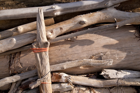 Flotsam on Darss in Germanyの写真素材