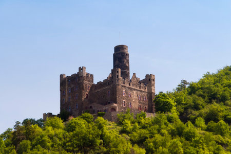 Burg Maus am Rhein