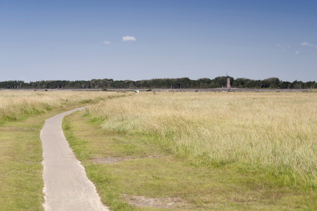 On the Beach of St. Peter-Ording in Germanyの写真素材