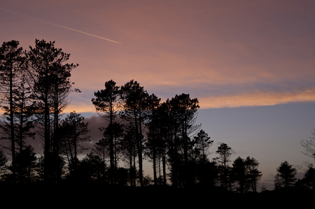 Evening Mood on Amrum in Germanyの写真素材