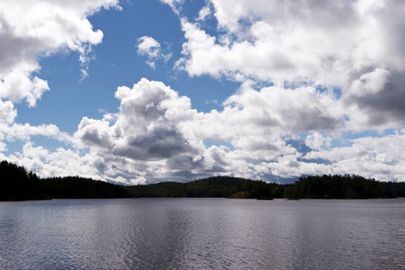 In the Tiveden National Parkの写真素材