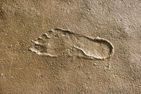 Footprints in the Wadden Seaの写真素材