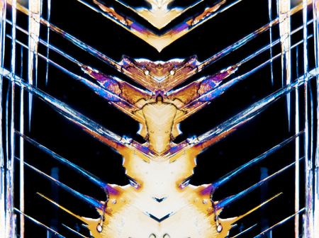 Micro Photography of Microcrystals mirroredの写真素材