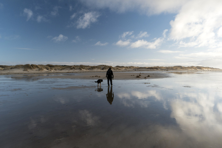 On the North Frisian Island Amrum in Germanyの写真素材