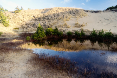 On the North Frisian Island Amrum in Germanyの写真素材