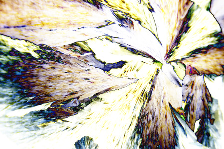 Microcrystals of tartaric acid in polarized lightの写真素材