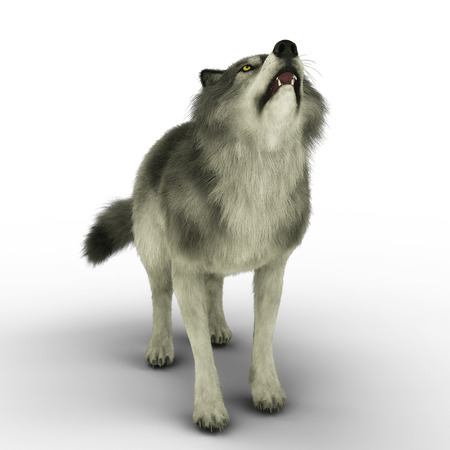 Digital 3D Illustration of a Wolf