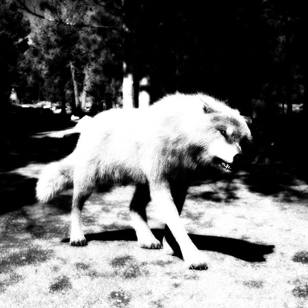 Digital 3D Illustration of a Wolf