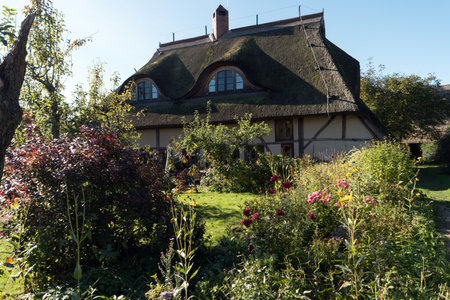 BARNSTORF ON DARSS, GERMANY - OCTOBER 06, 2021: The village is known for its picturesque colorful thatched roof houses with their country gardens.のeditorial素材