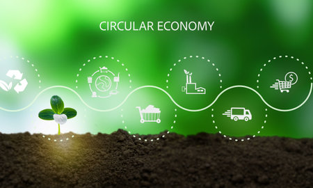 Circular economy and waste management concept.  Environmental sustainability. A sprouting plant surrounded by eco-friendly icons; recycling, production, consumption  and delivery processes.の写真素材