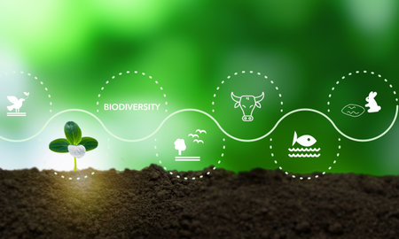 World biodiversity concept. The sustainable ecological environment and harmony living with nature. World environment day, environmental protection awareness. Biological diversity concept.の写真素材