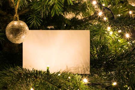 Blank Christmas Card on the Christmas Tree with toyの写真素材