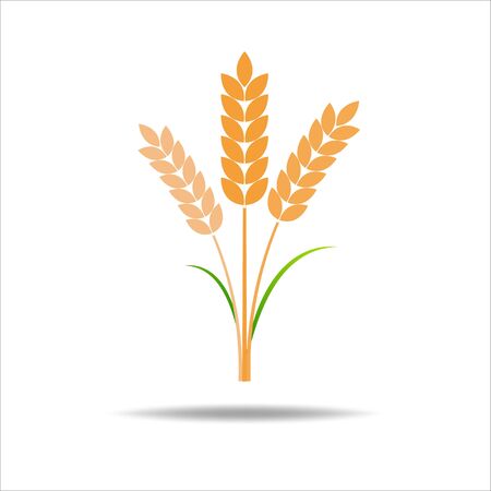 Wheat rice icon. Crop, barley or rye symbol isolated on white backgroundのイラスト素材