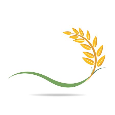 wheat on white, agricultural vector illustrationのイラスト素材