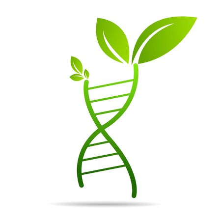 Organic DNA symbol  ecology tree leaves. Green thinking technology innovations, conservation conceptのイラスト素材