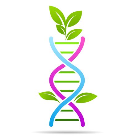 Organic DNA symbol  ecology tree leaves. Green thinking technology innovations, conservation conceptのイラスト素材